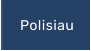 Polisiau