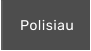 Polisiau